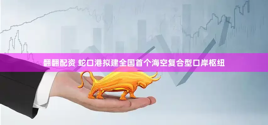 翻翻配资 蛇口港拟建全国首个海空复合型口岸枢纽